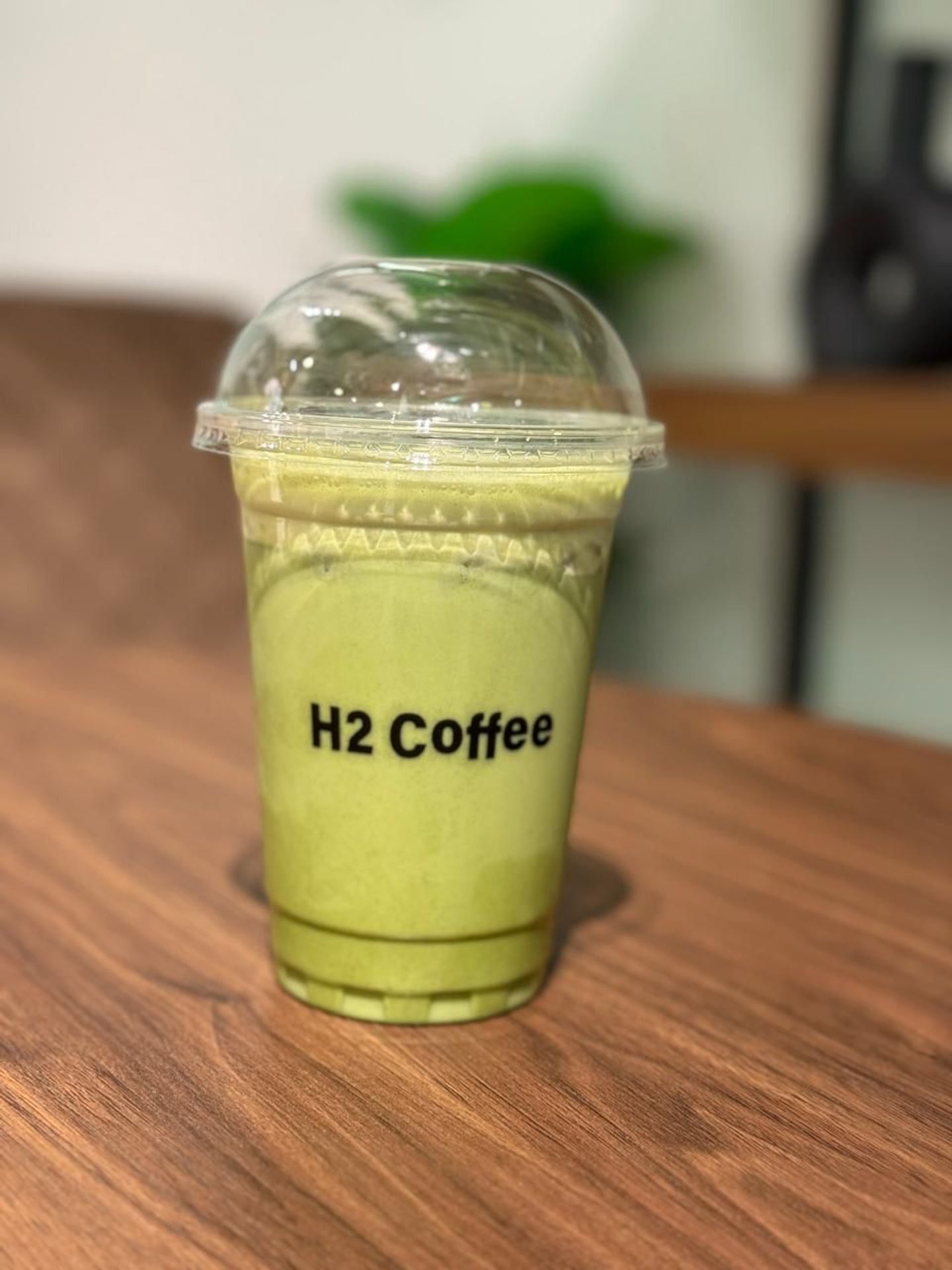 Iced Matcha Latte