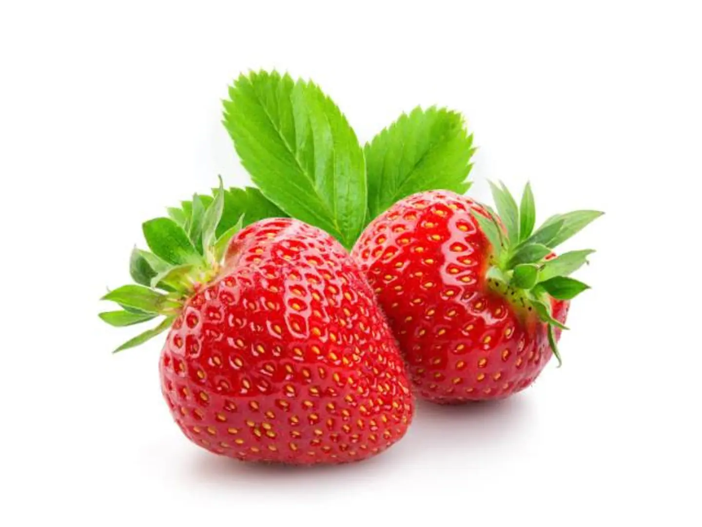 فراولة افريقي