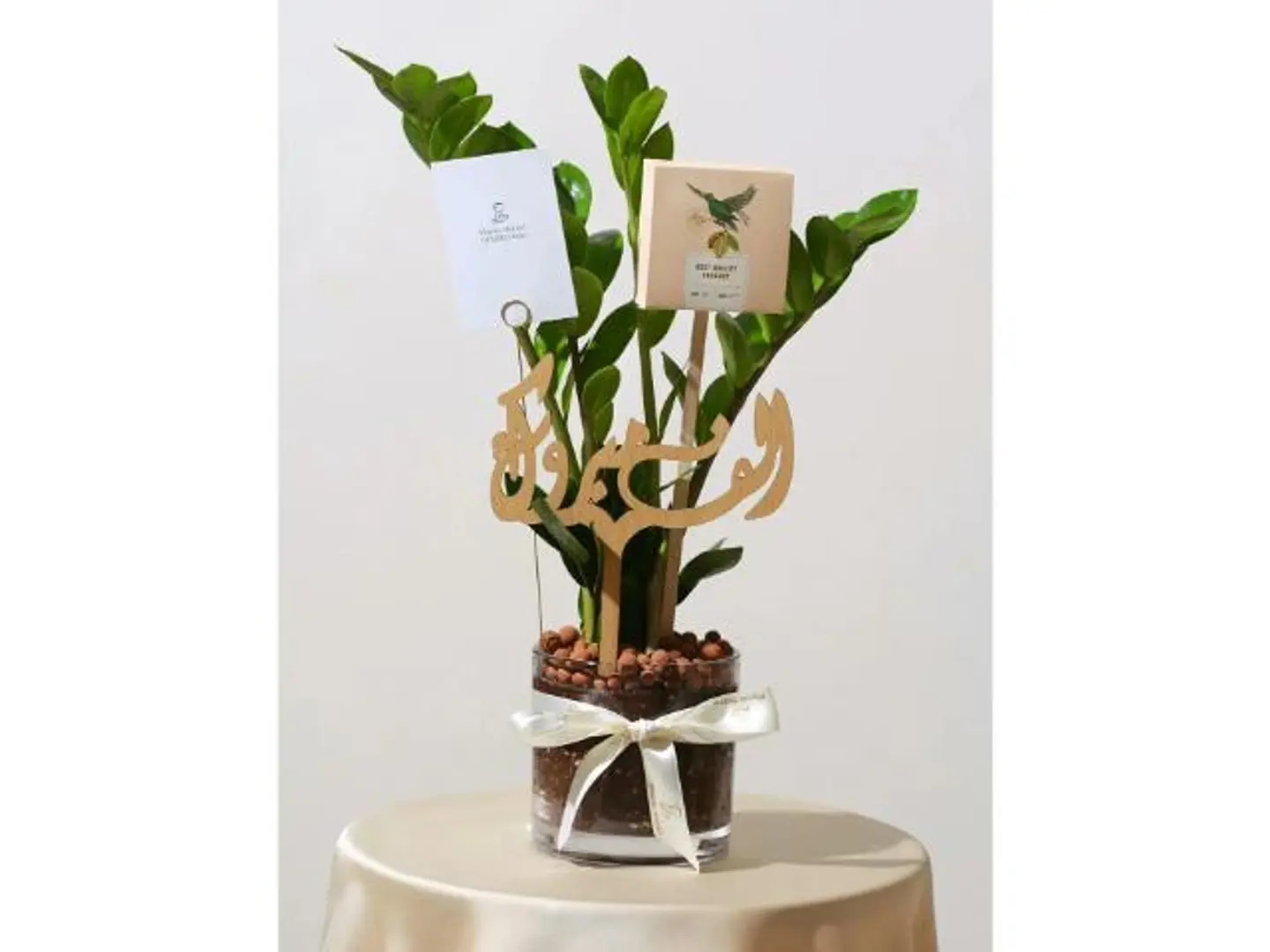 الزاميا في فازة زجاجية وشوكلت