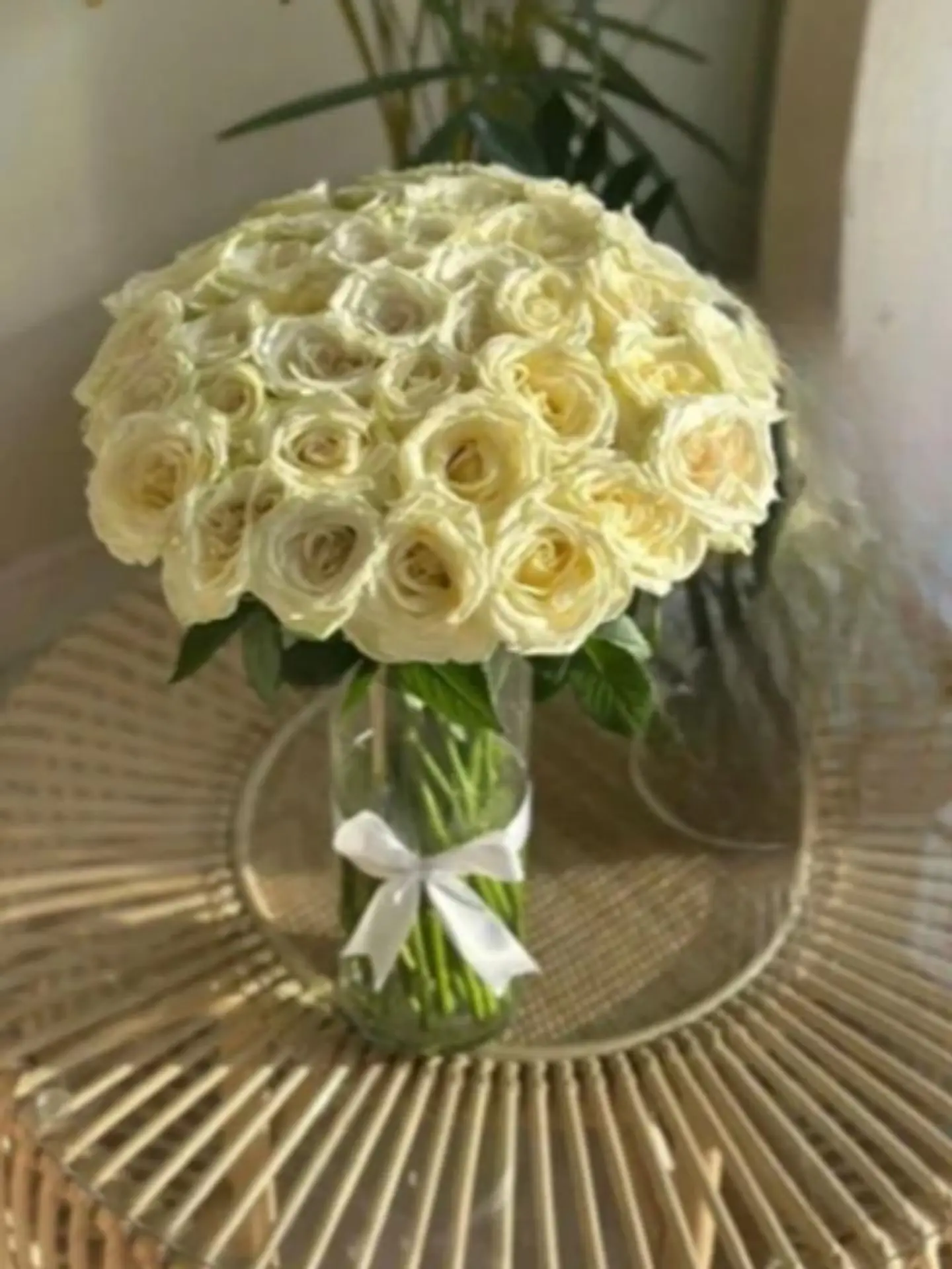 فازة الجمال