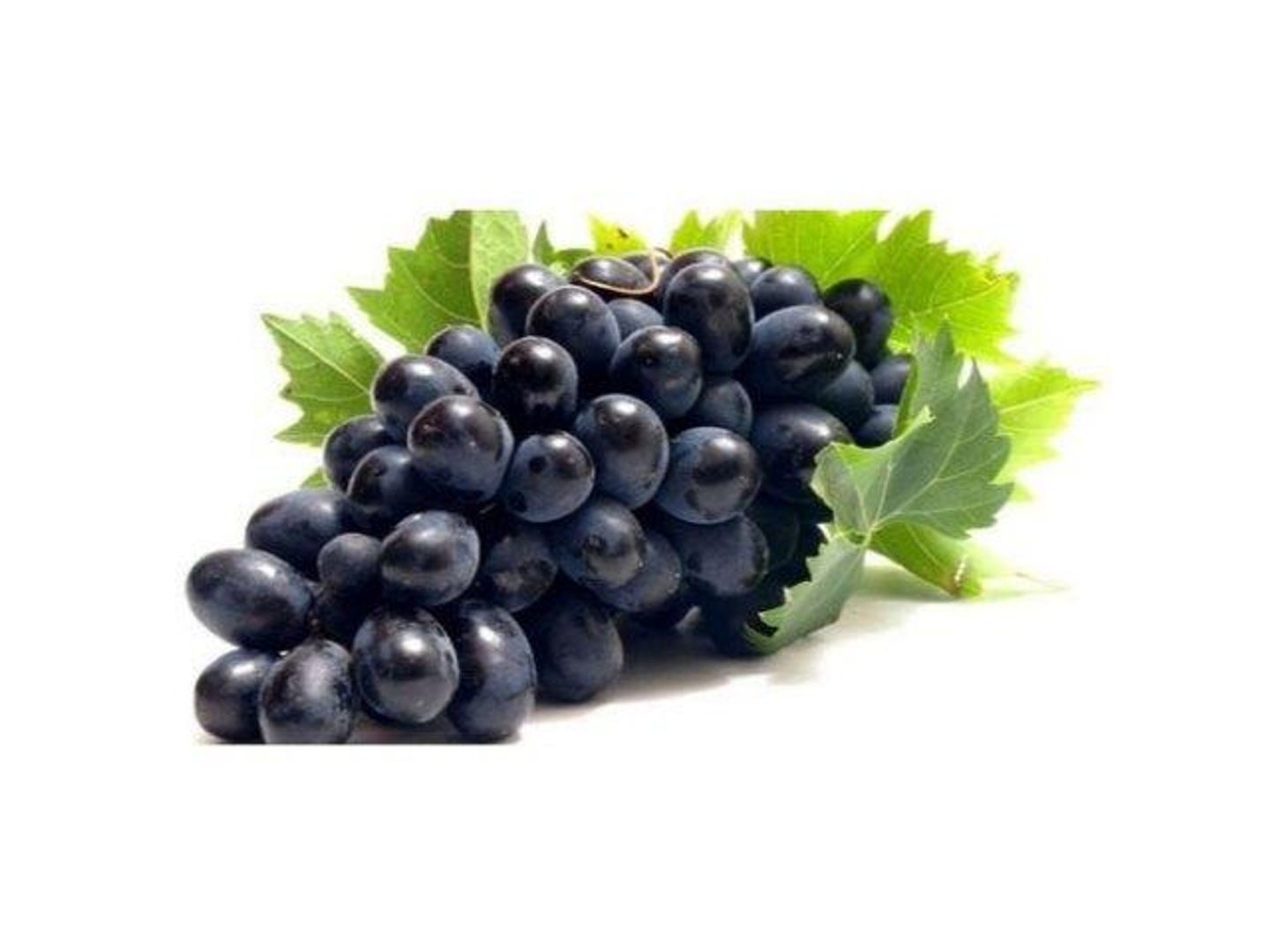 Black Grapes