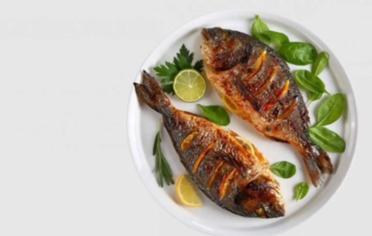 Sea Bream
