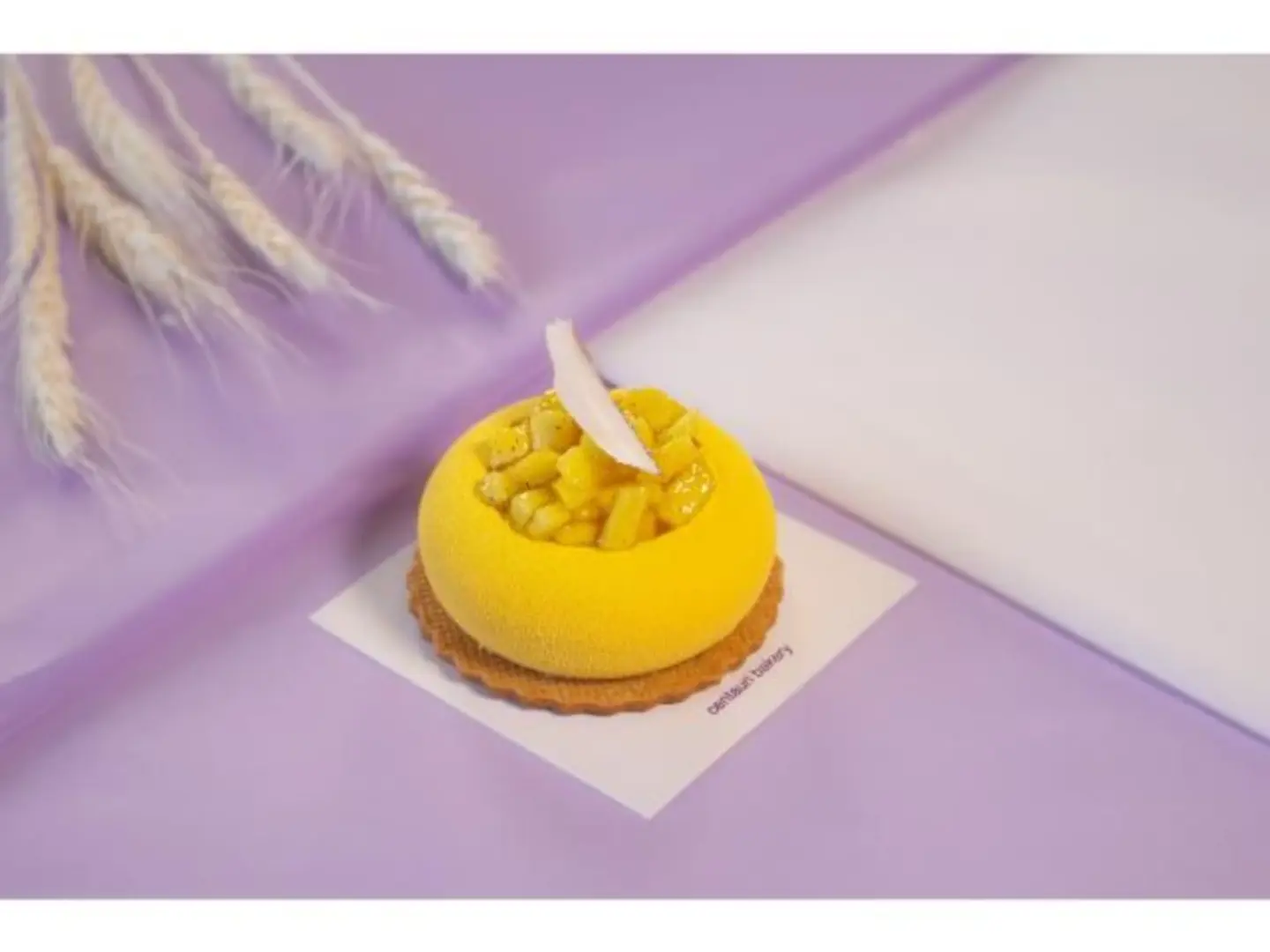 Mango Cheesecake