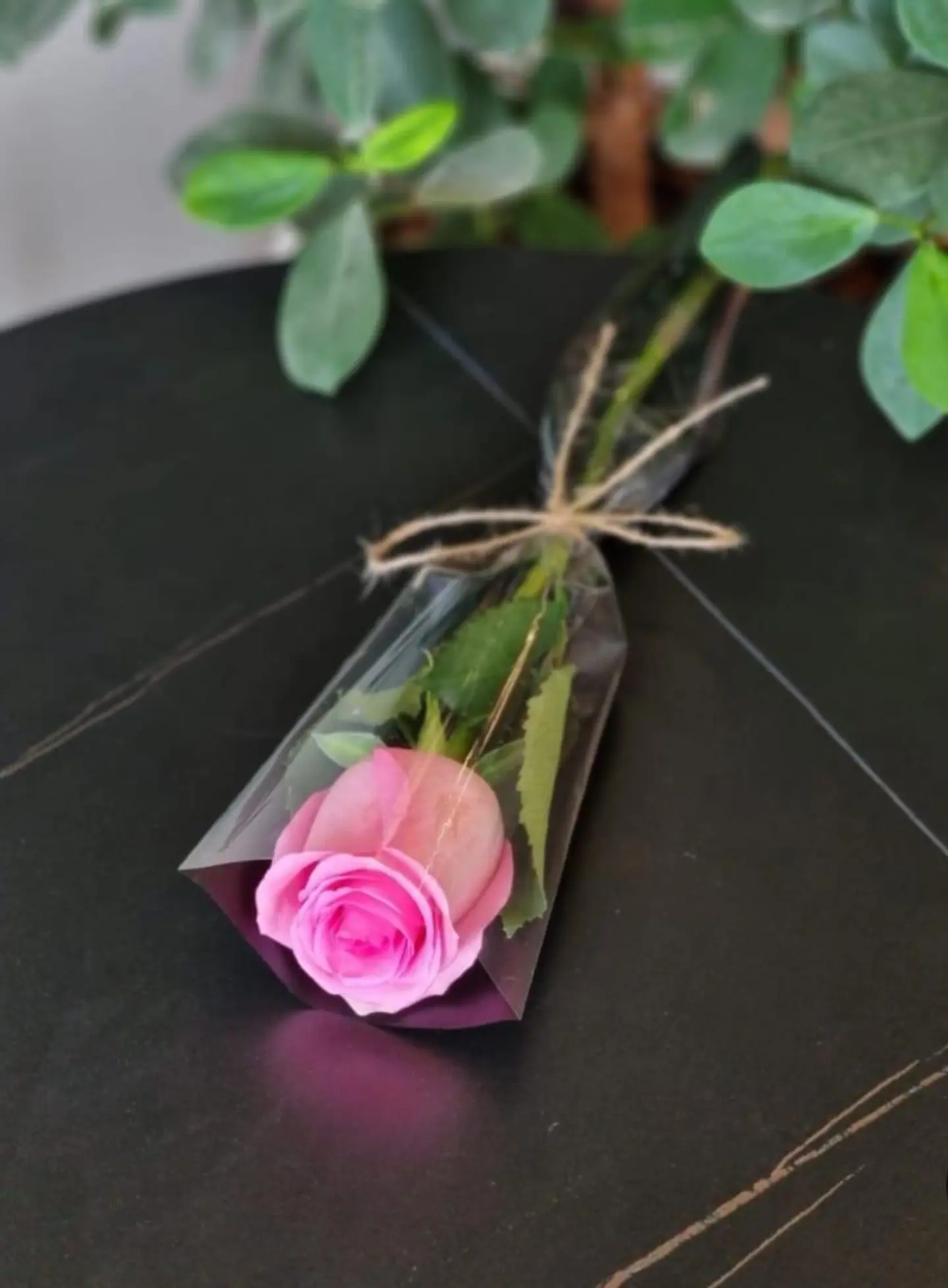 Roses With The Pill