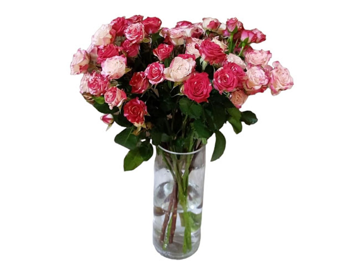 Vase With Baby Rose 6