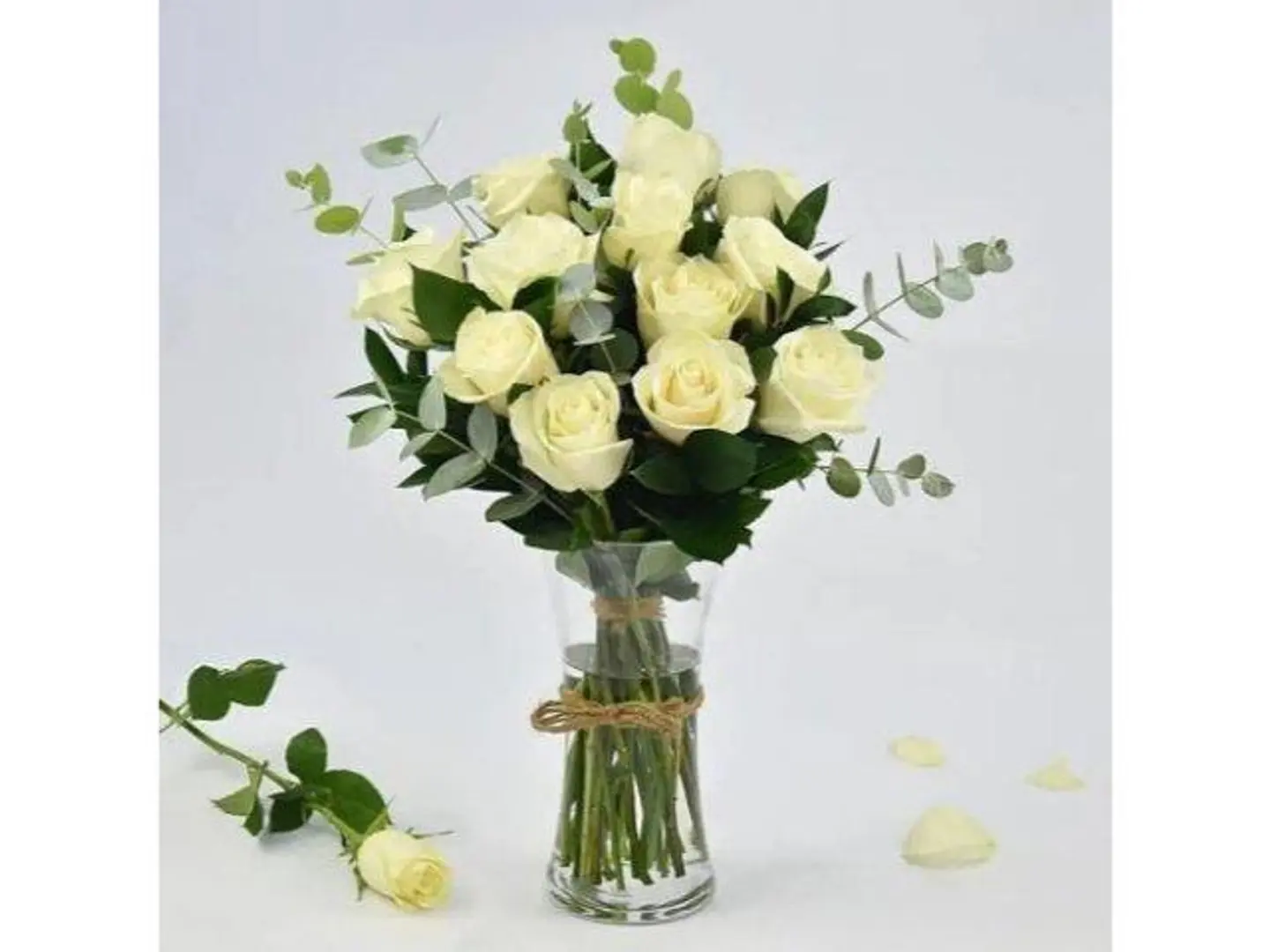 فازة الجوري الابيض