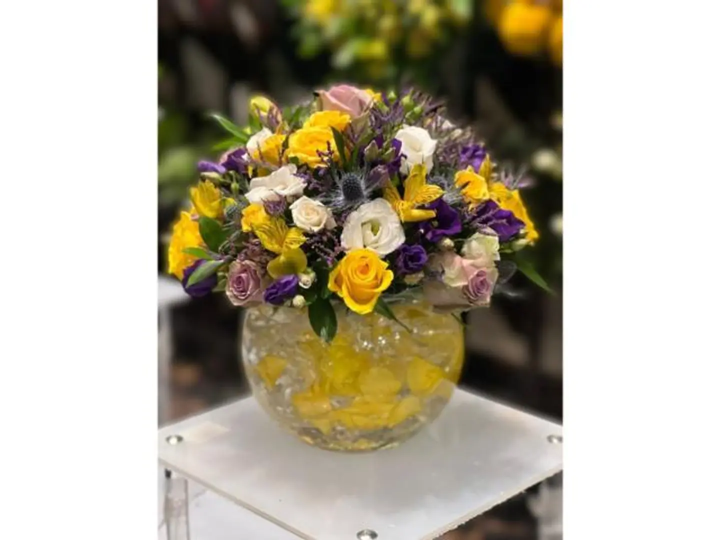 فازة الحب والصداقة