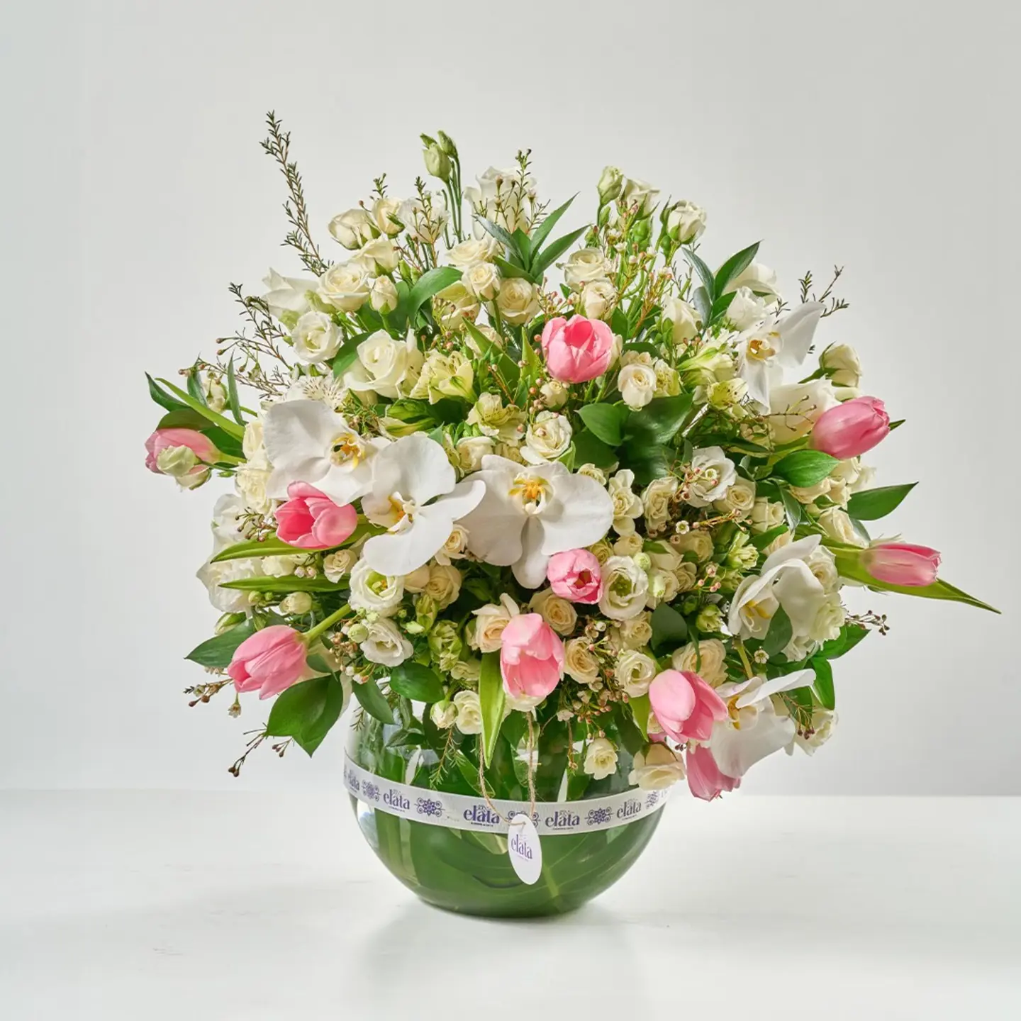Vase Orchards