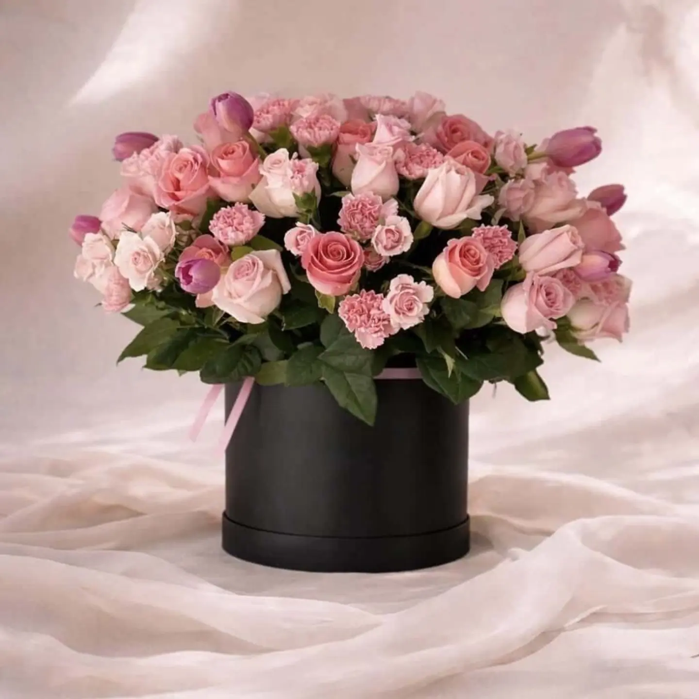 بوكس النخبة