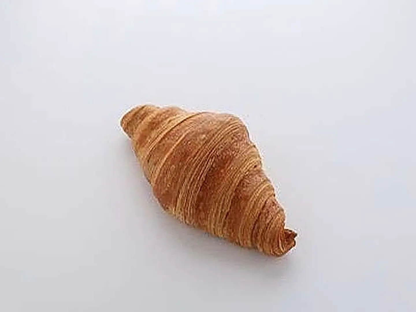 Plain Croissant
