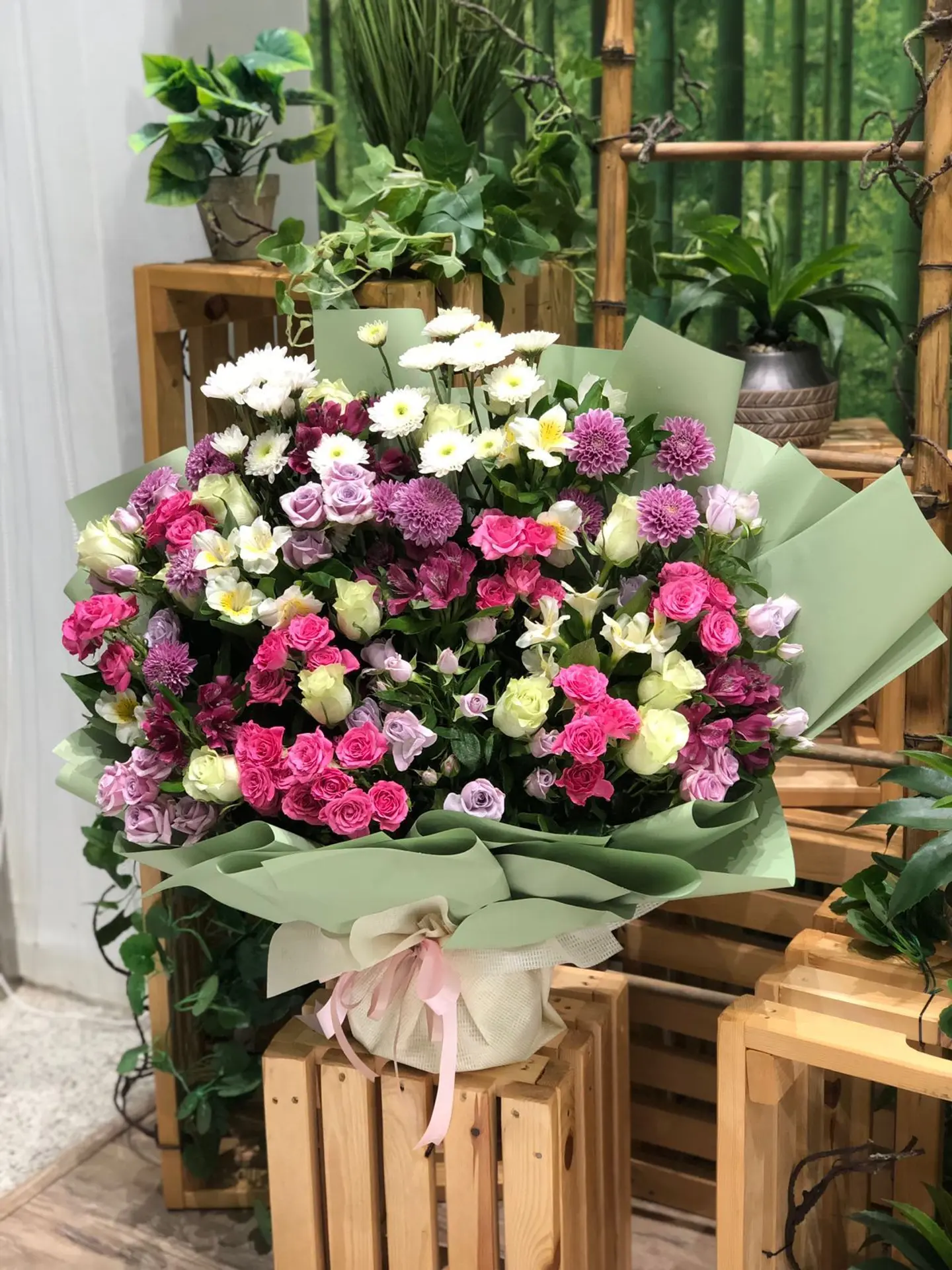 ورود راقية