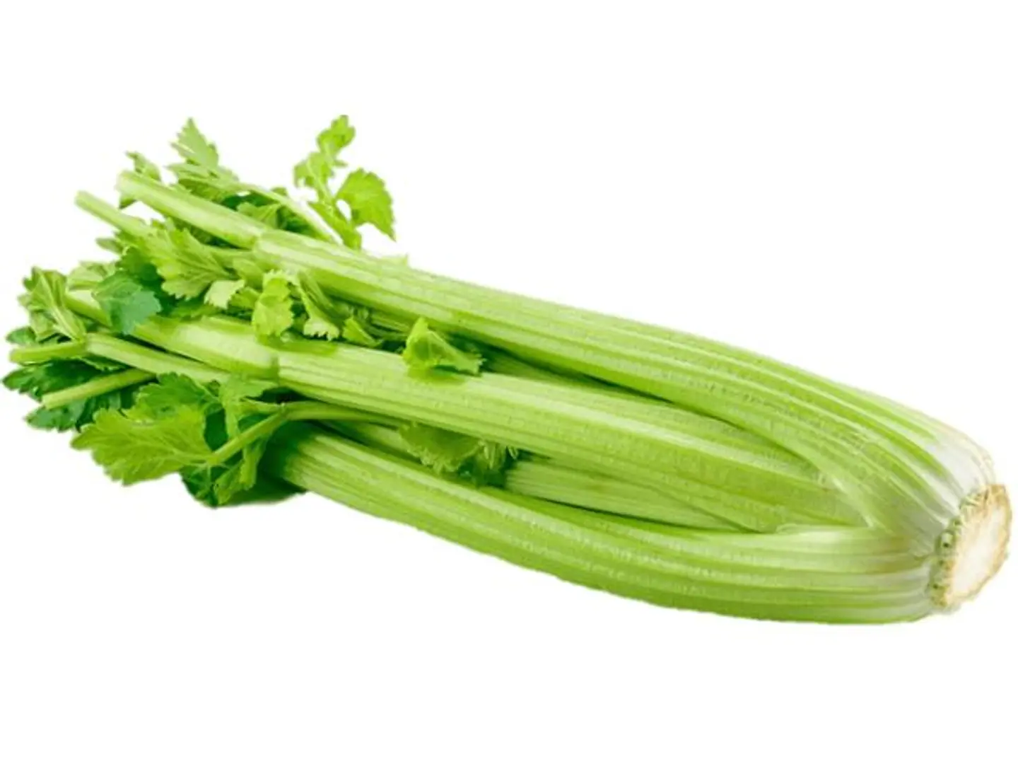 Celery Usa