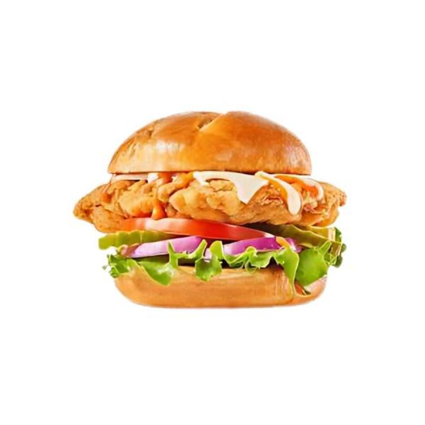 Crispy Chicken Combo Sandwich