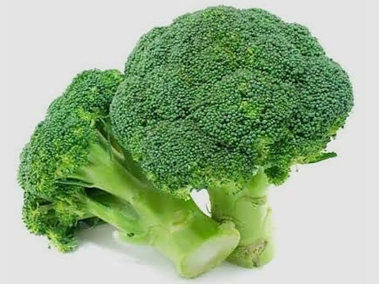 Broccoli