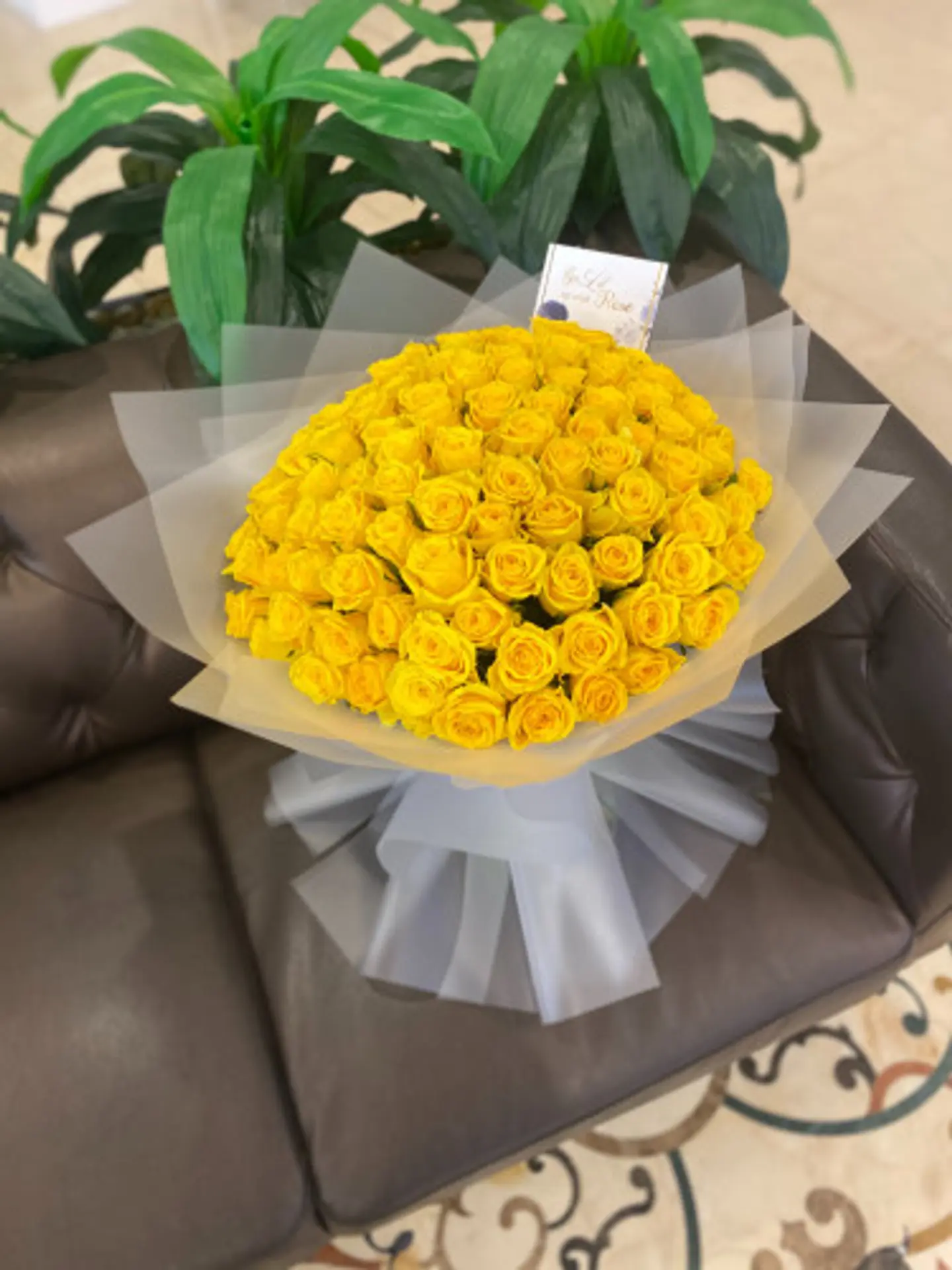 Yellow Rose D2