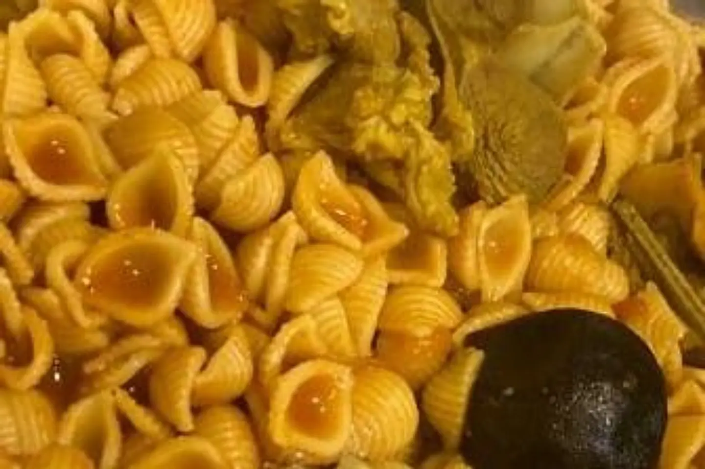 حاشي مكرونة قواقع