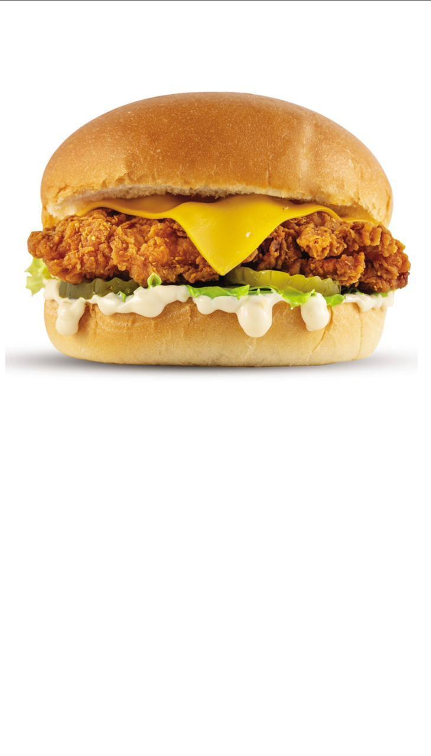 Crispy Chicken Meal
