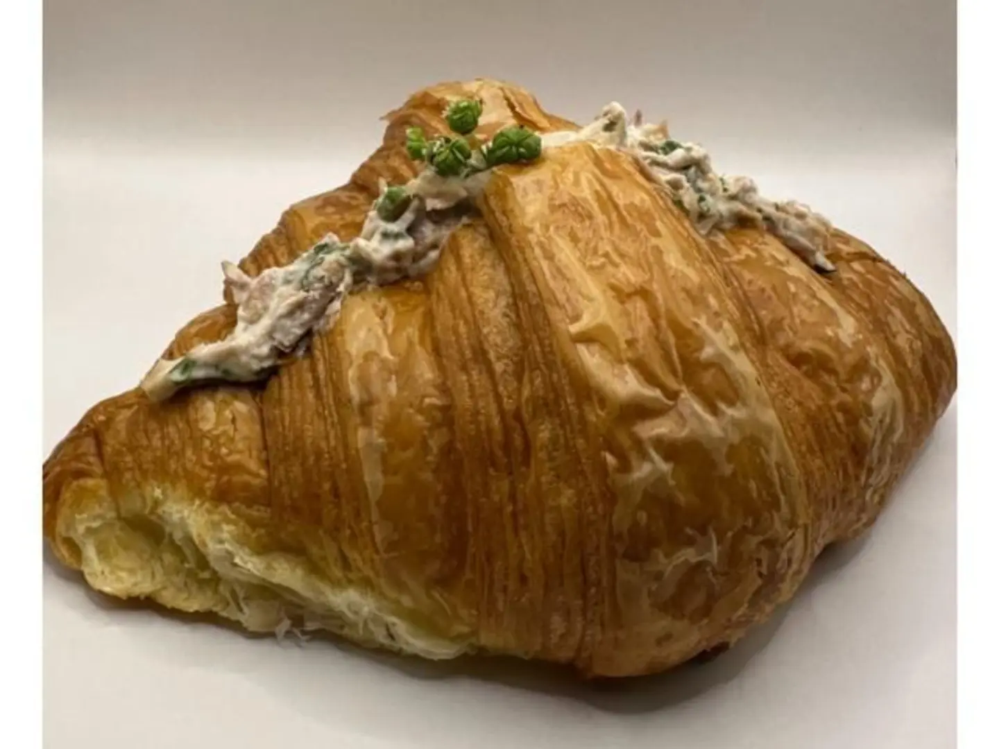 كرواسون تونة