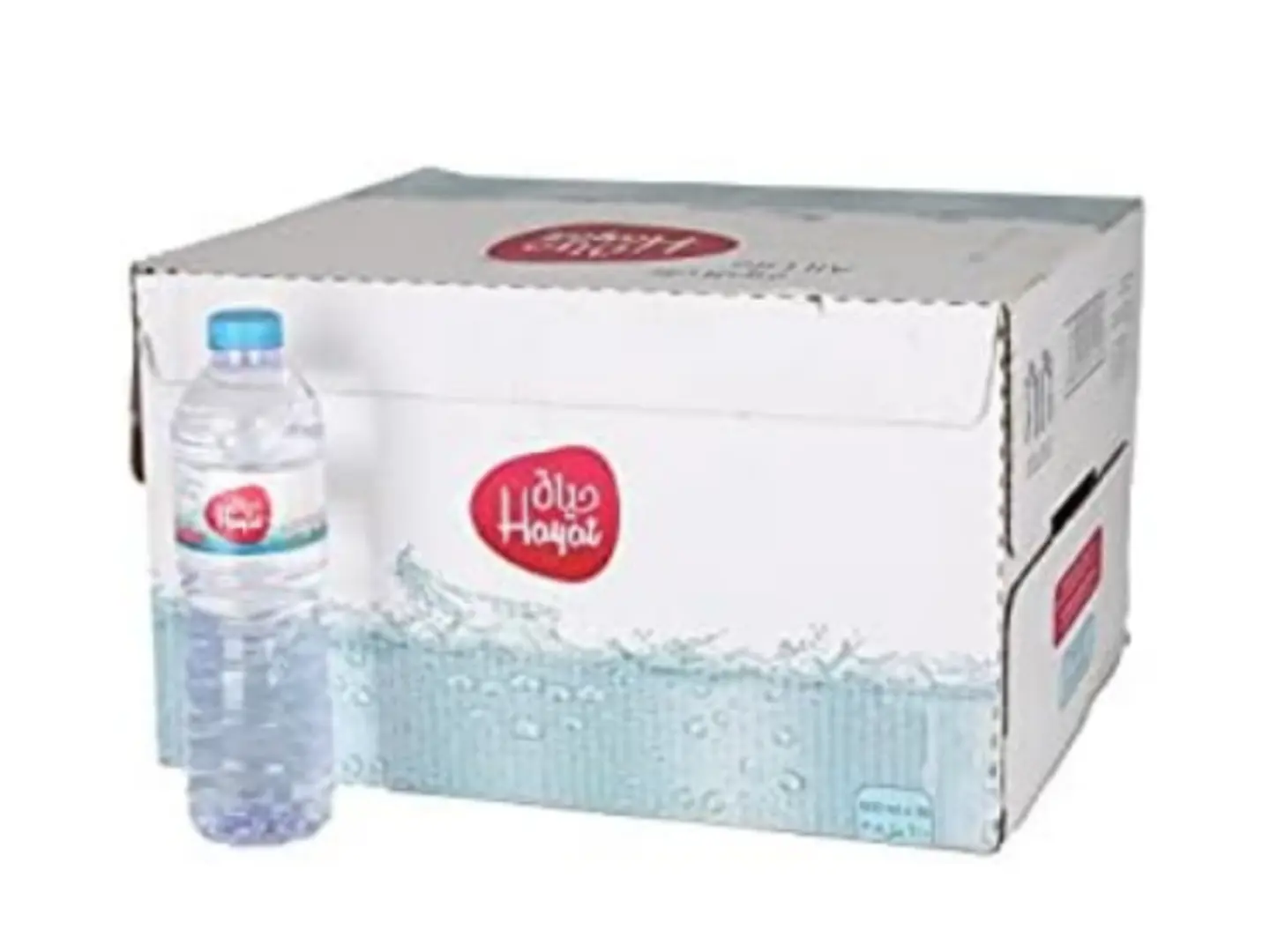 Hayat Bottled Drinking Water, 30 × 600ml
