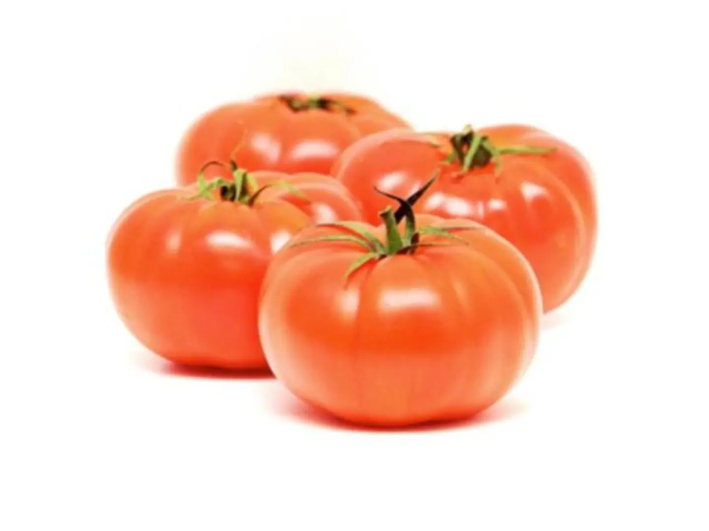 Tomato