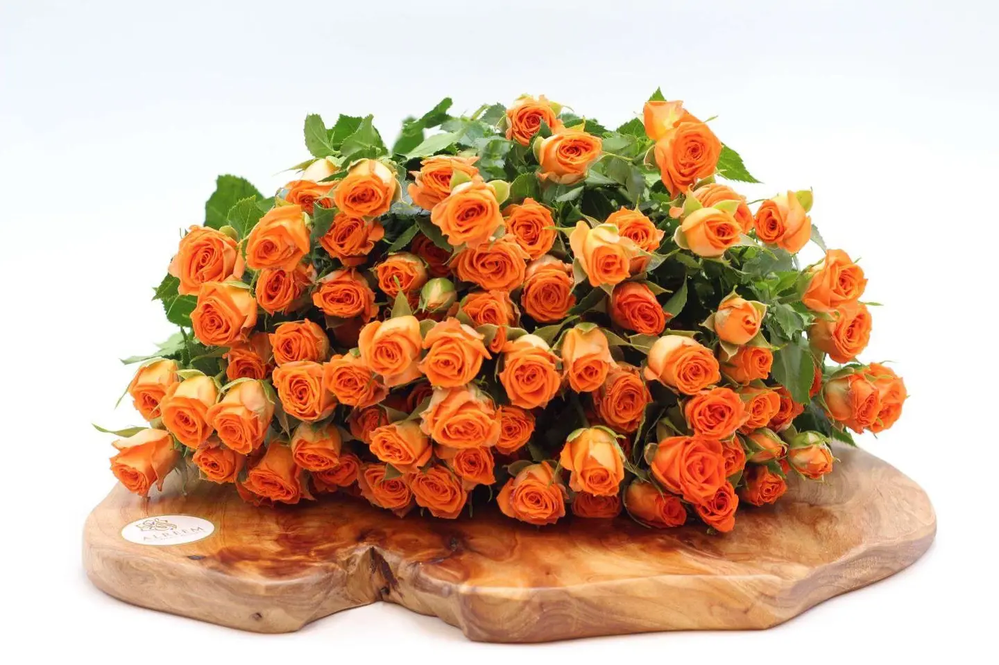 بيبي روز اورنج