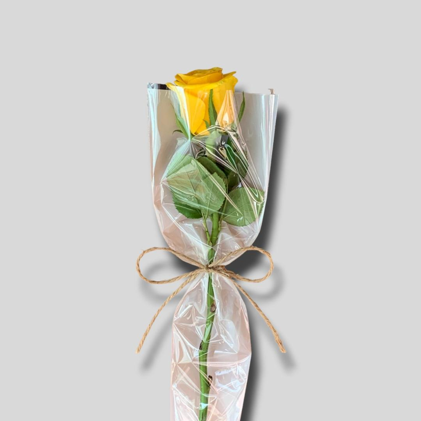 توزيعات الجوري اصفر