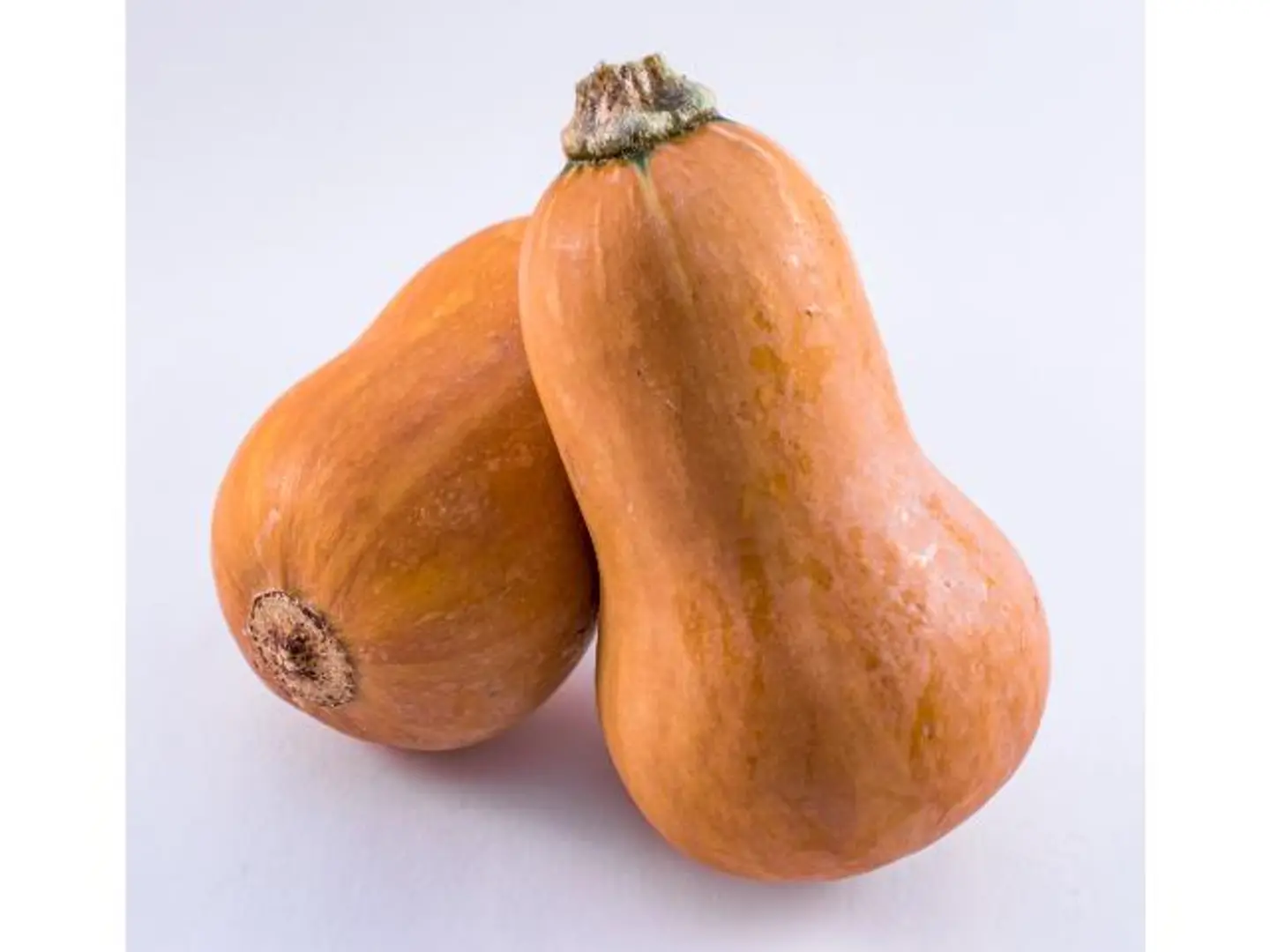 Butternut Asly