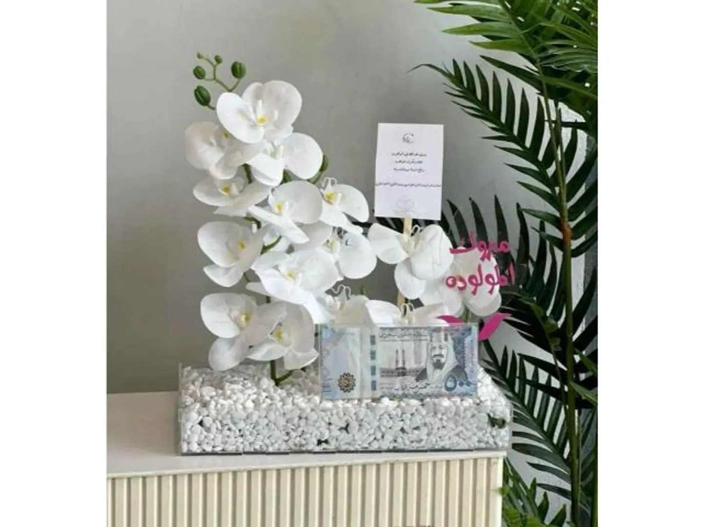 Coordination I Will Give You A Baby