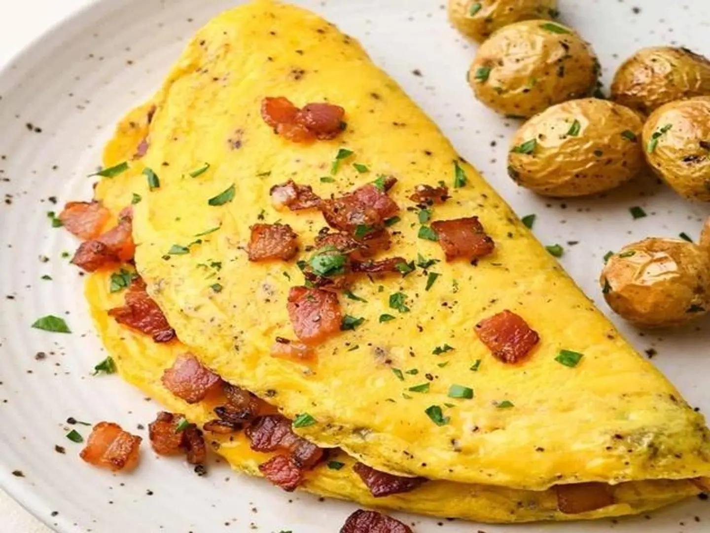 Egg Omelet
