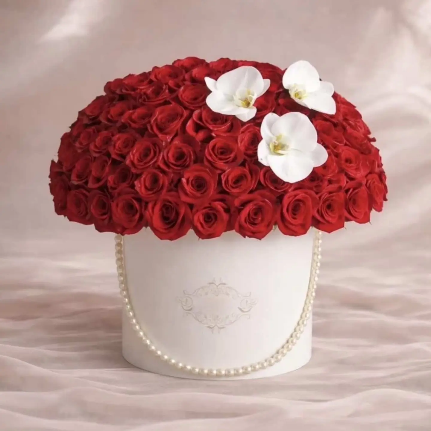 بوكس فلفيت ريد