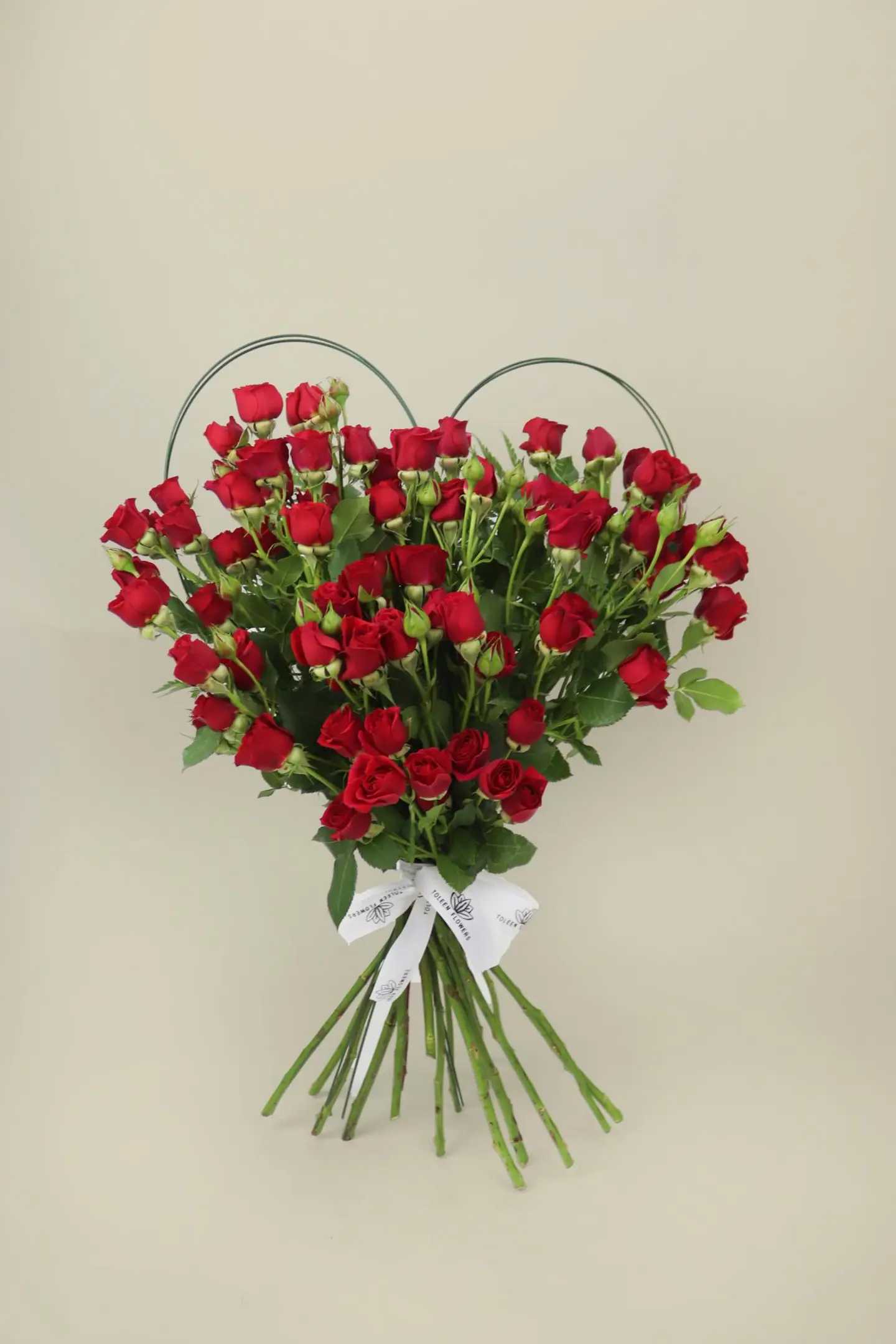 القلب الأحمر