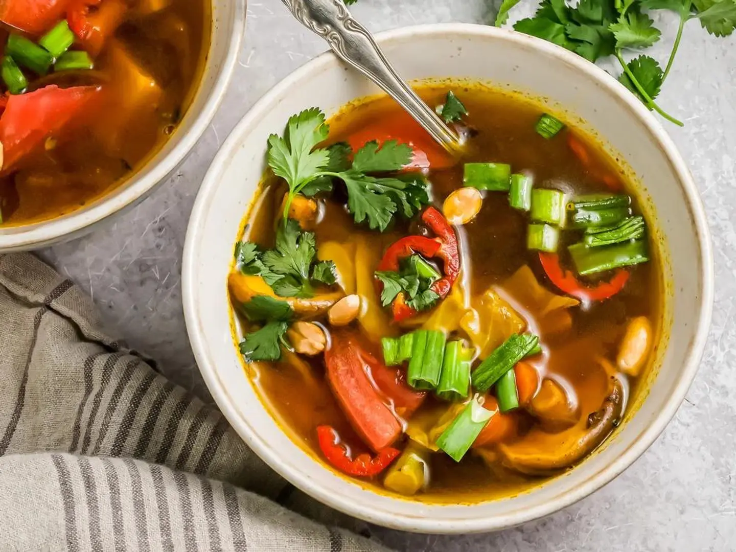 Vegetable Garlic Soup