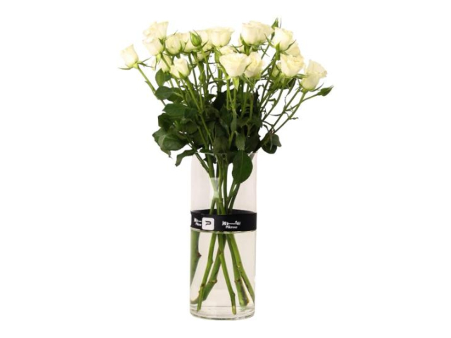 White Baby Rose Vase