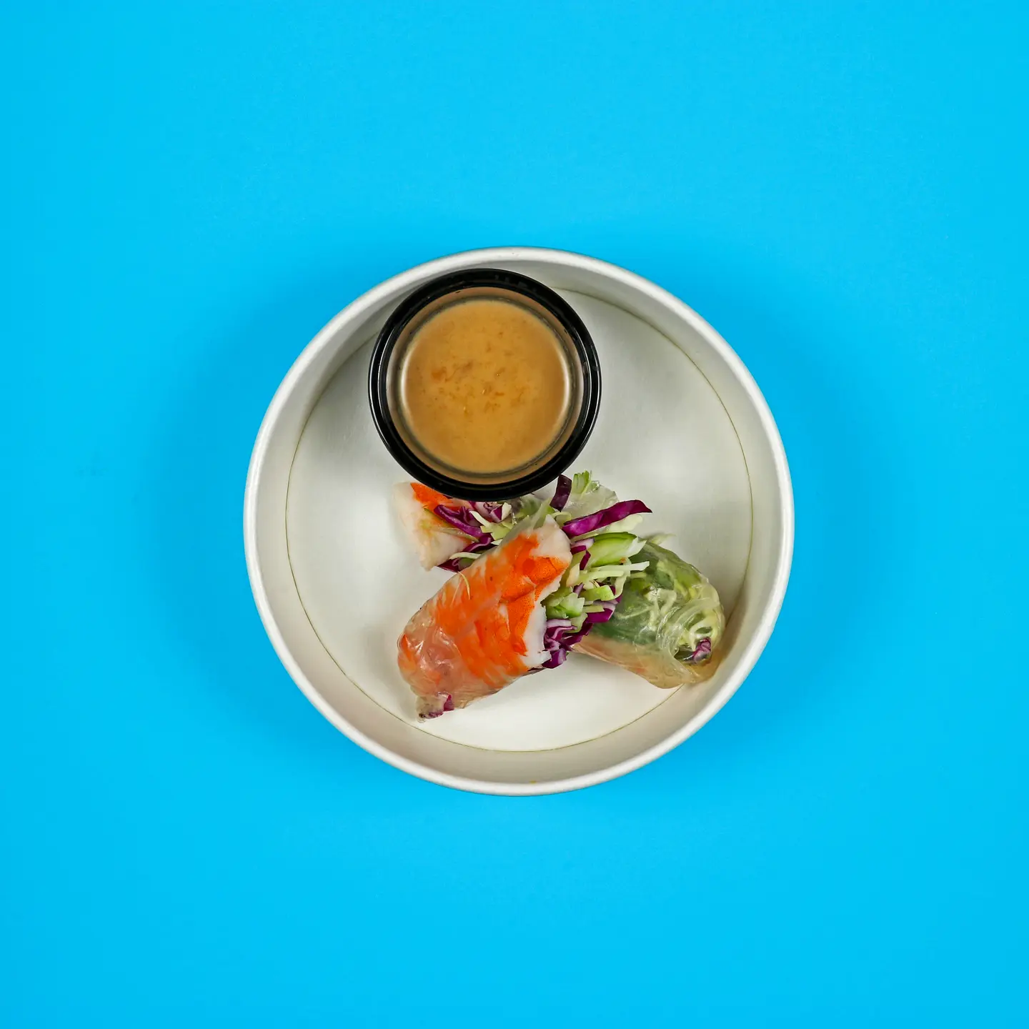 Vietnamese Spring Roll