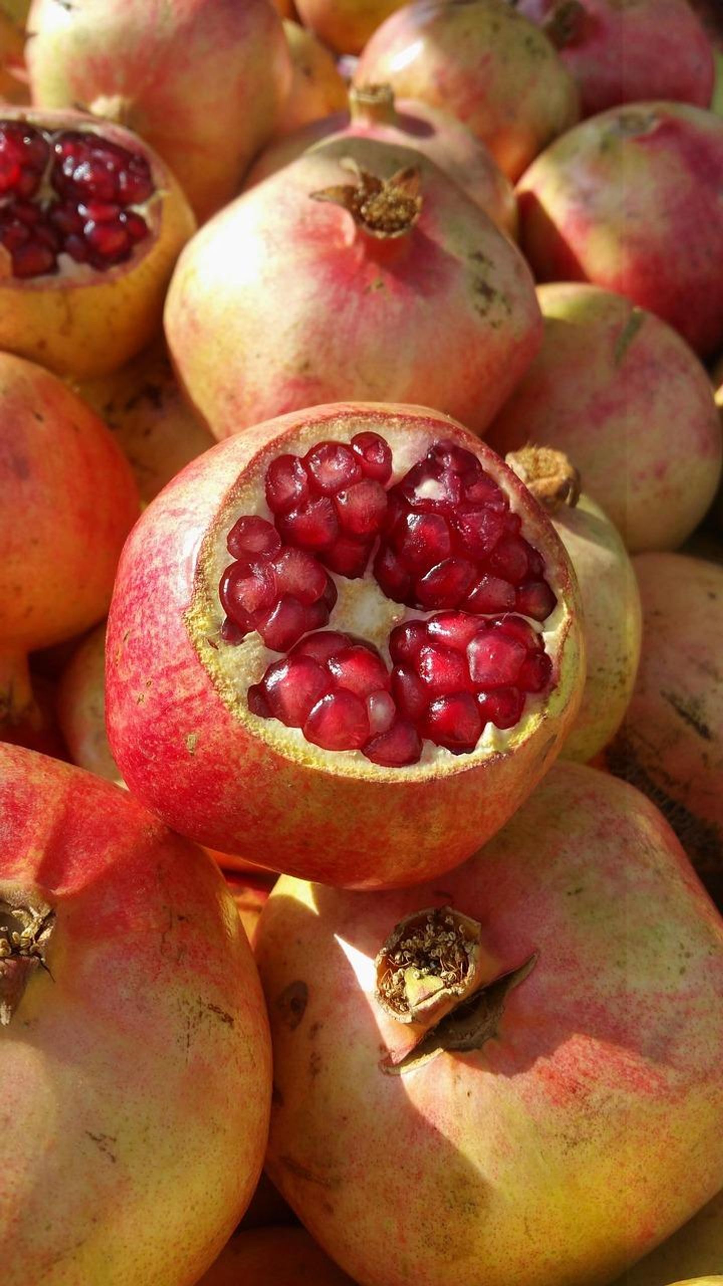 Indian Pomegranate