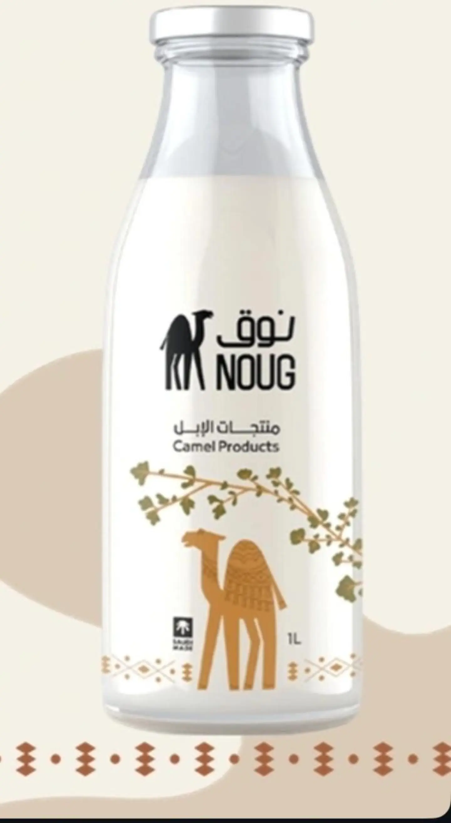 حليب إبل نوق طازج