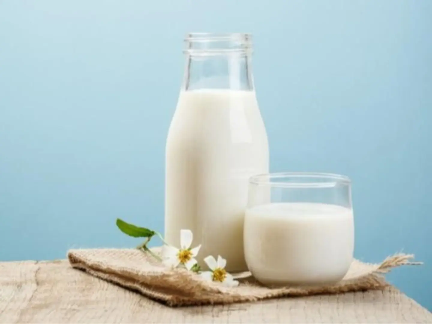 Regular Milk