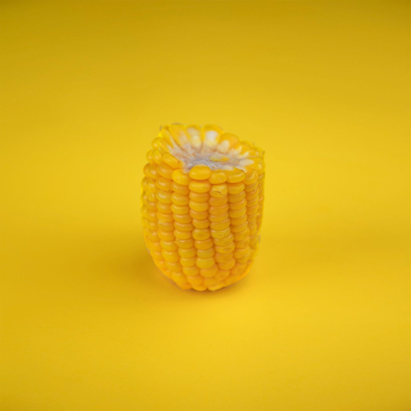Corn