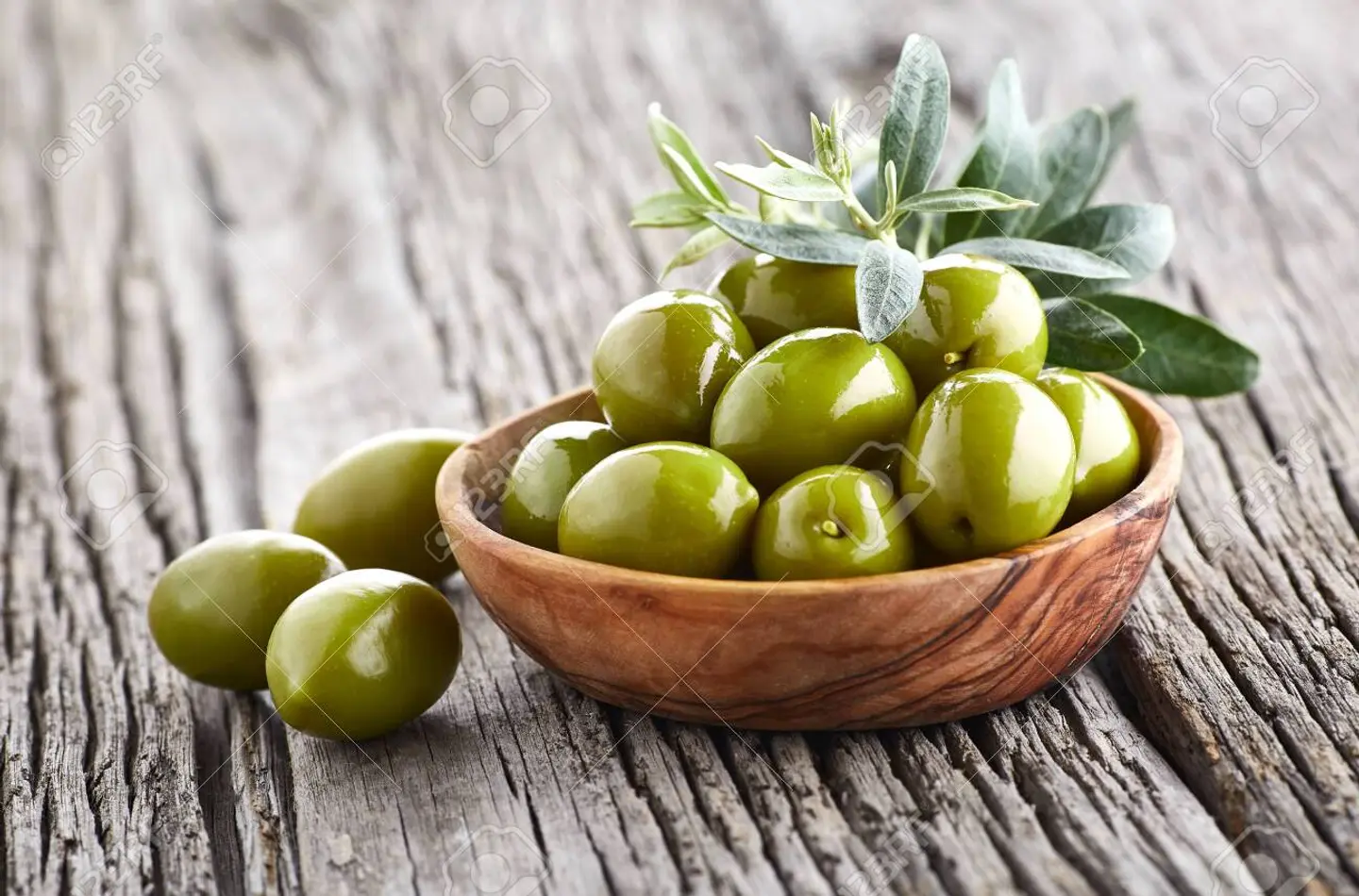 زيتون انواع