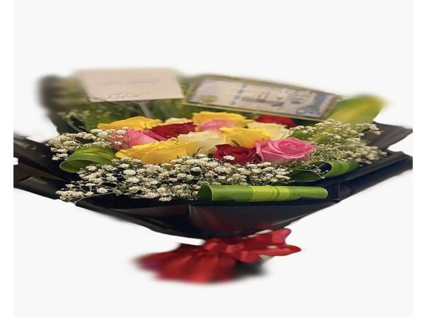 محبي السلام