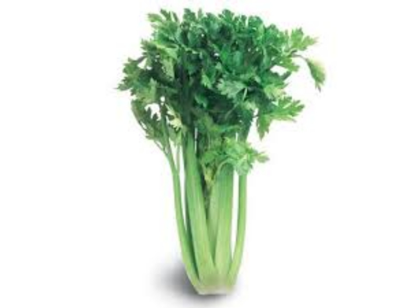 كرافس وطني - جرام 500