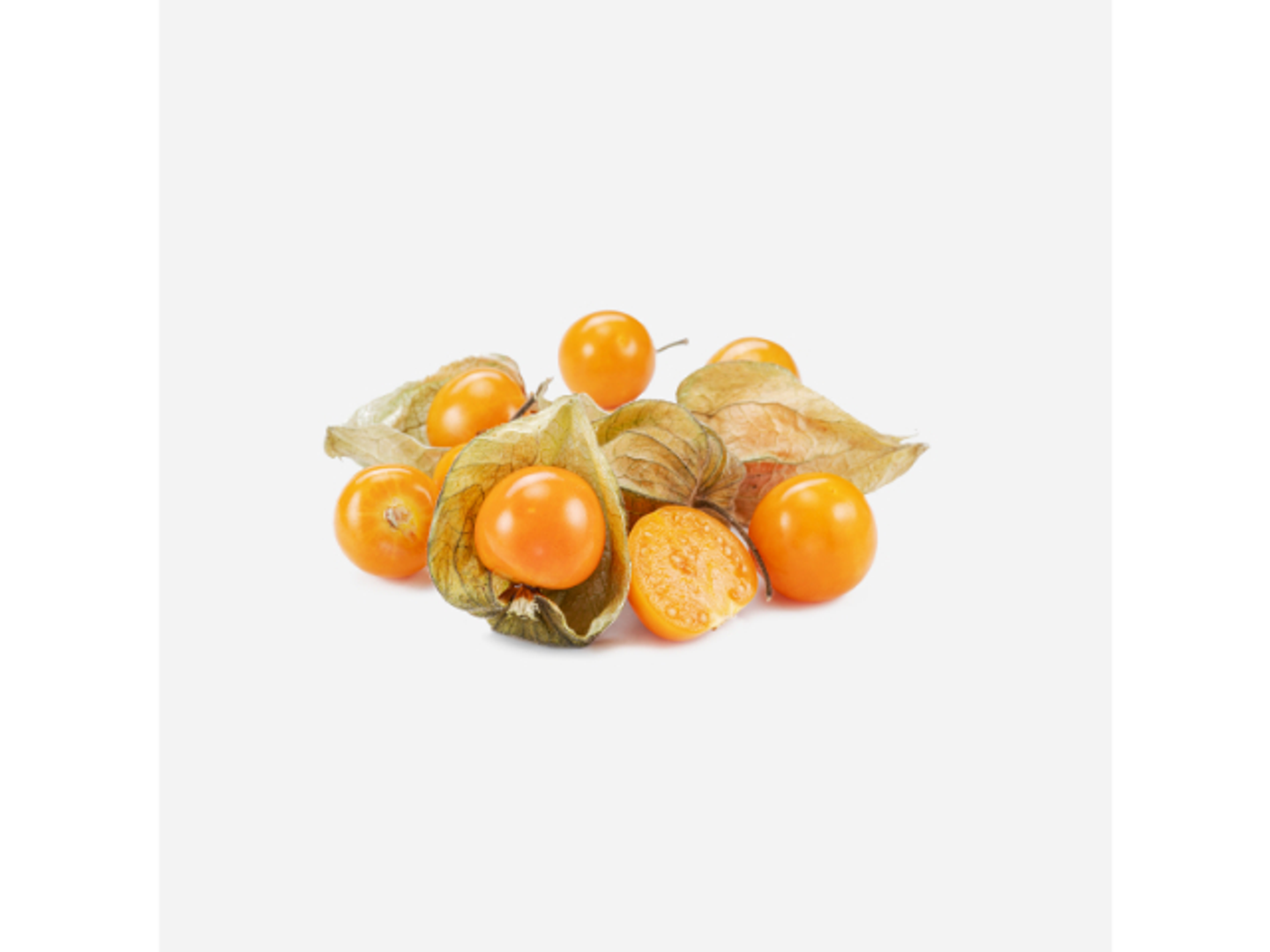 Physalis