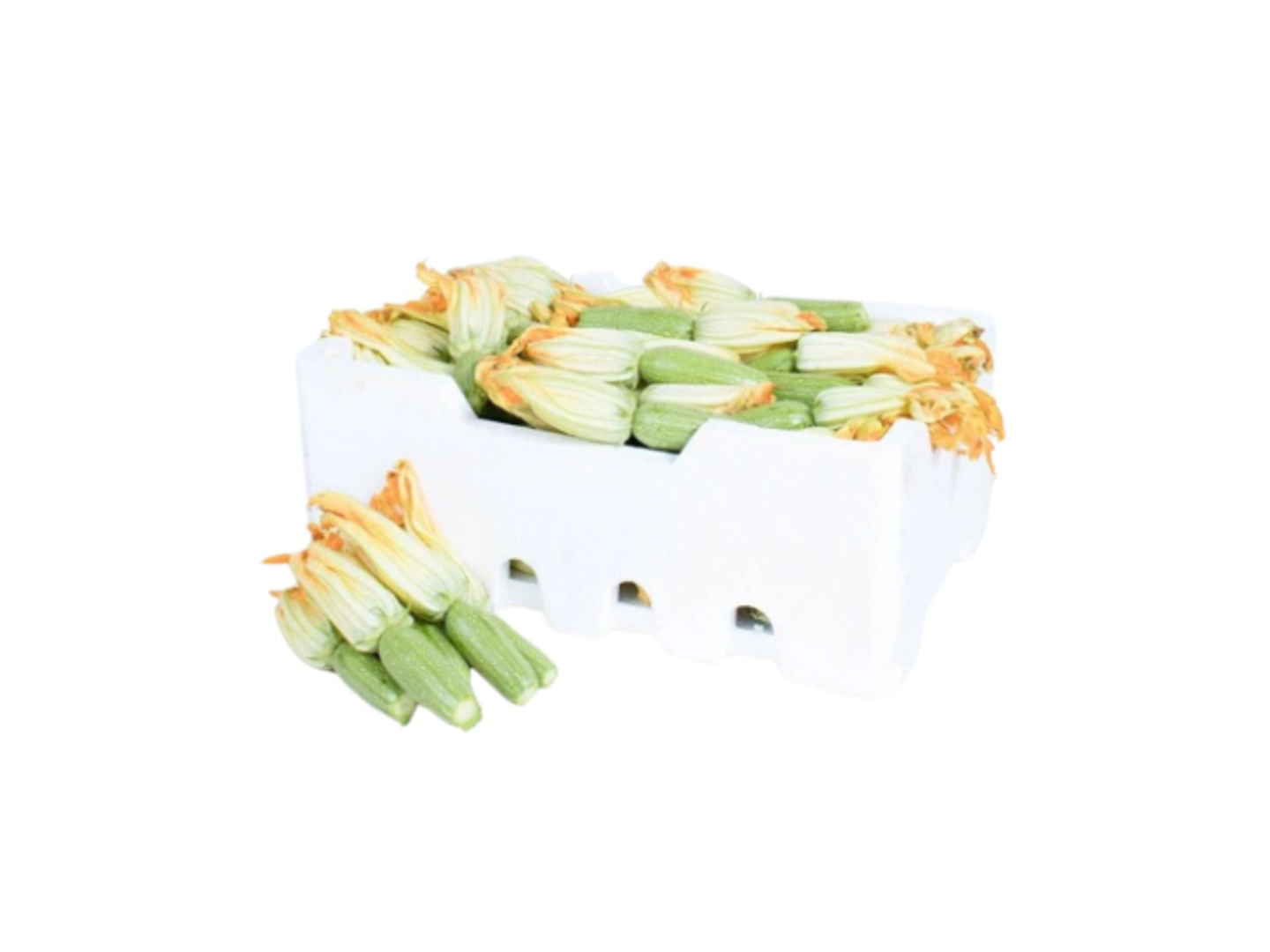 Zucchini Medium Box