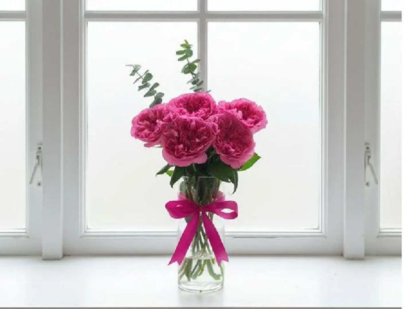 هولندا الخاصة