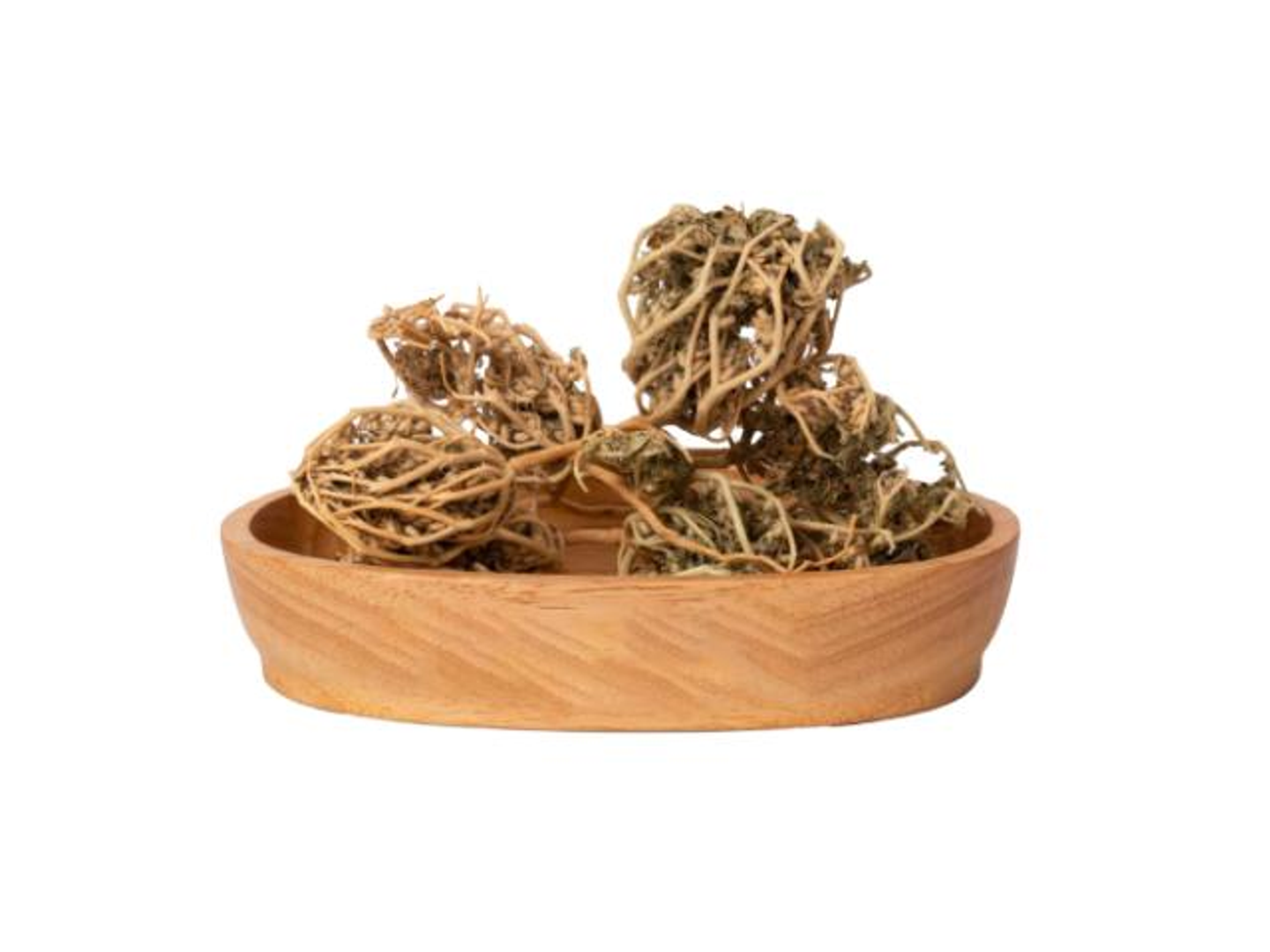 Maryam's Palm Herb