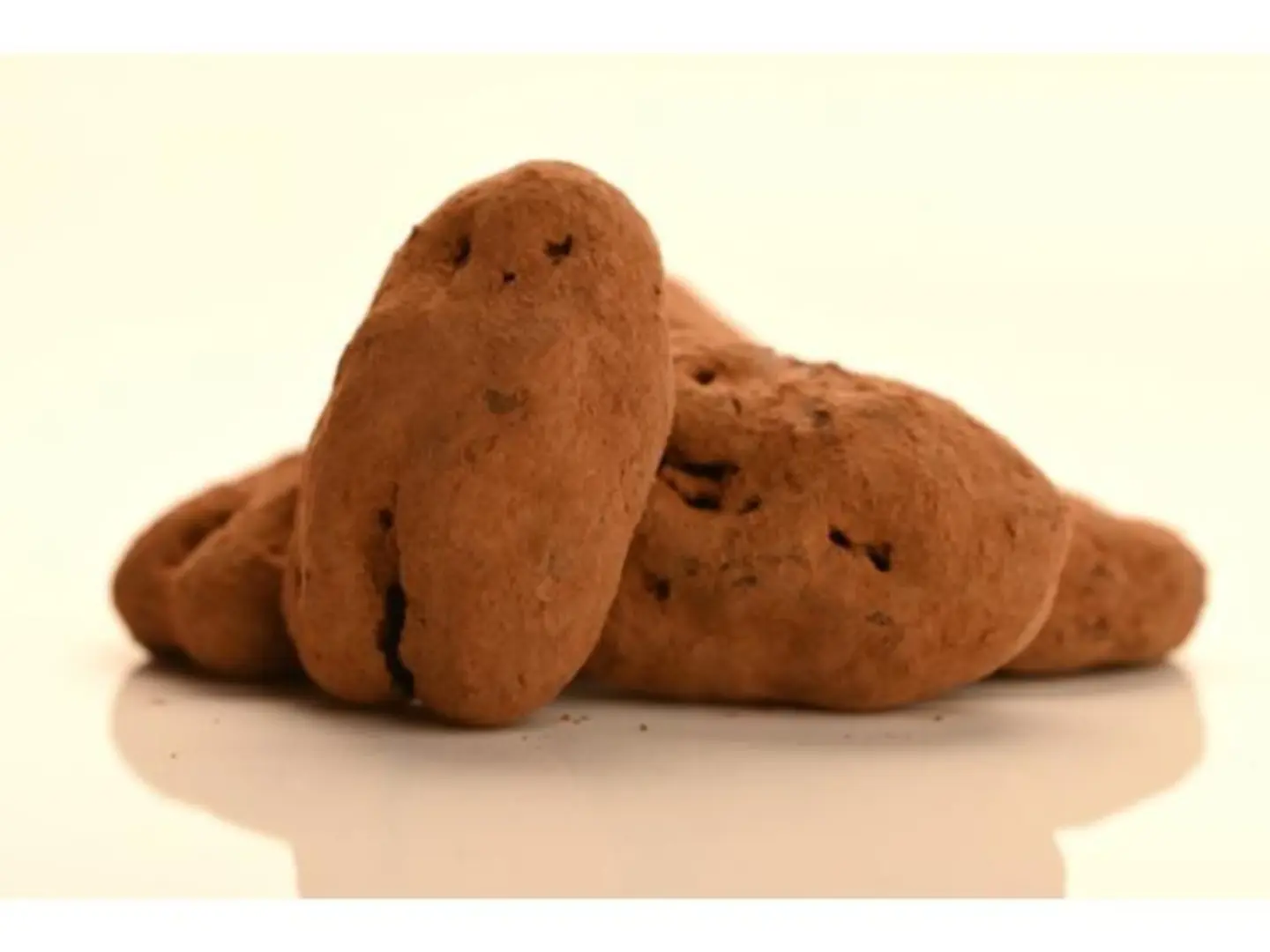 Chocolate Cocoa Pecan