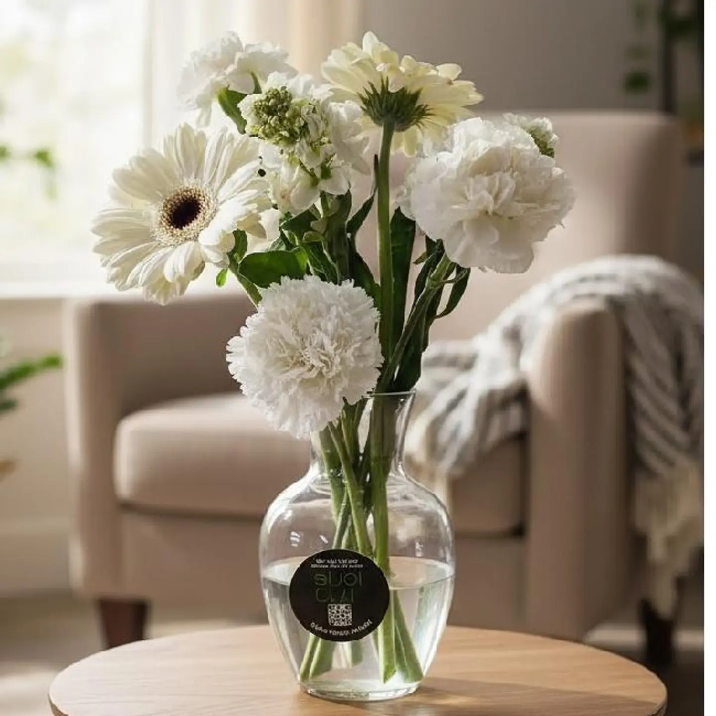 جربيرة مع زهرة عطرية