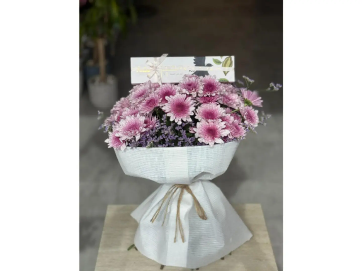 نعومة الورد