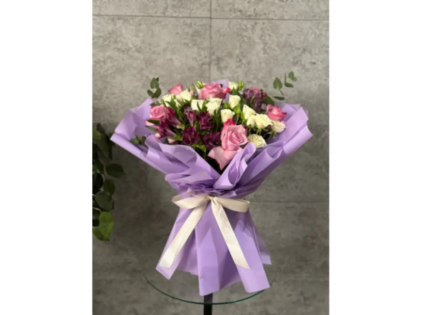 بوكية بيلا 21