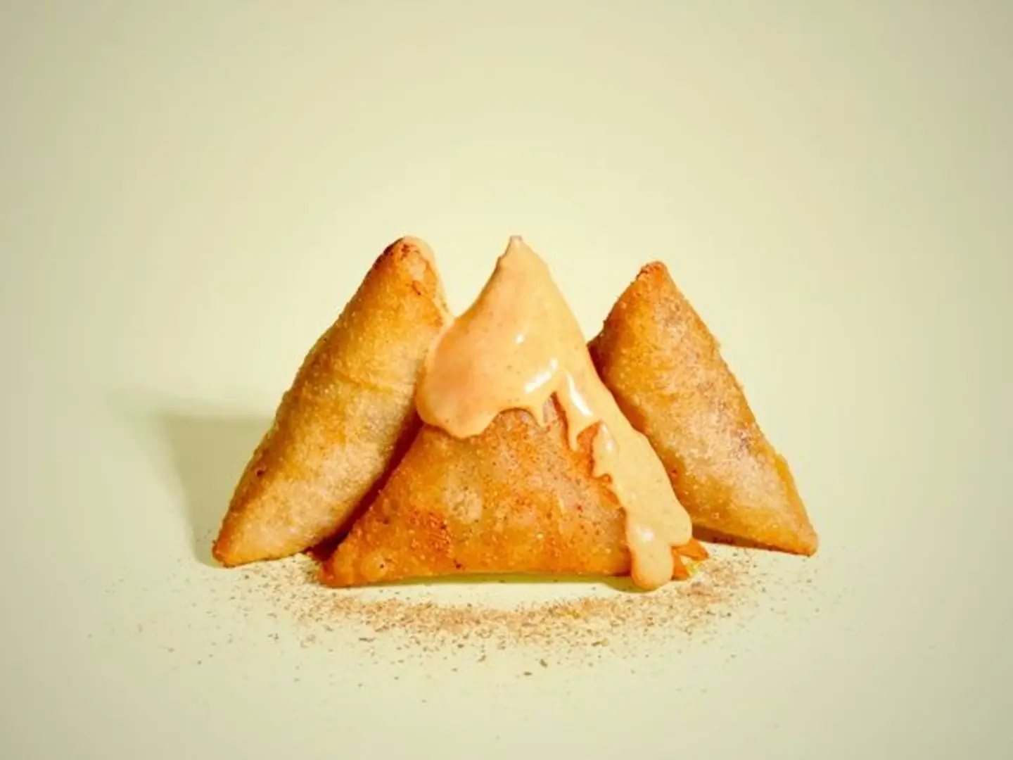Shibilz Samosa